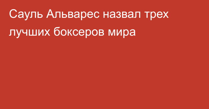 Сауль Альварес назвал трех лучших боксеров мира