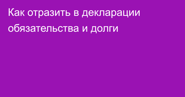 Как отразить в декларации обязательства и долги