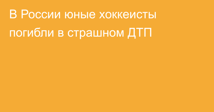 В России юные хоккеисты погибли в страшном ДТП