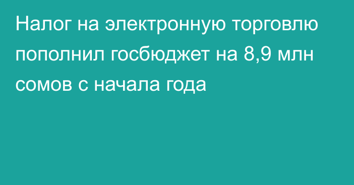 Налог на электронную торговлю пополнил госбюджет на 8,9 млн сомов с начала года