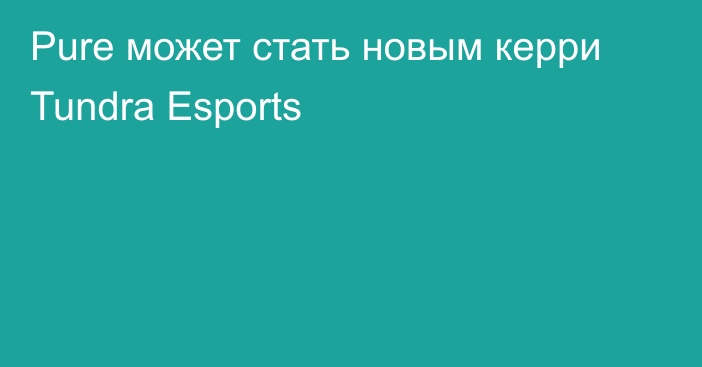 Pure может стать новым керри Tundra Esports