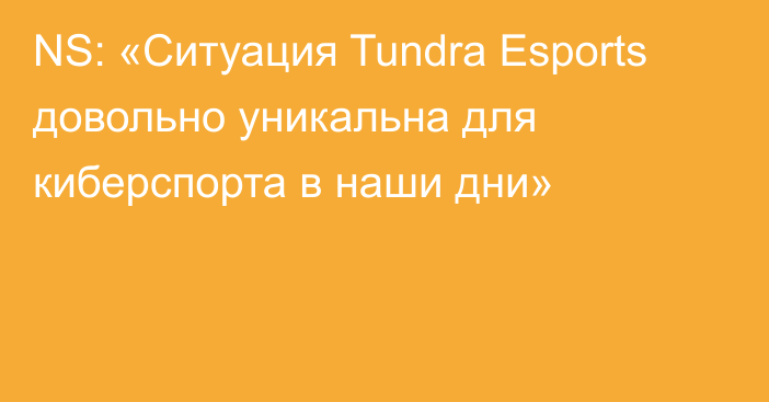 NS: «Ситуация Tundra Esports довольно уникальна для киберспорта в наши дни»