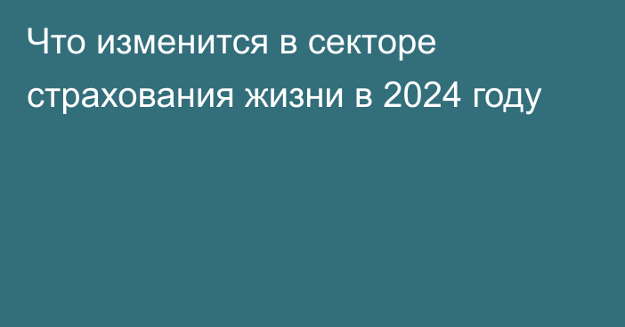 Что изменится в секторе страхования жизни в 2024 году