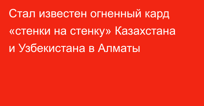 Стал известен огненный кард «стенки на стенку» Казахстана и Узбекистана в Алматы