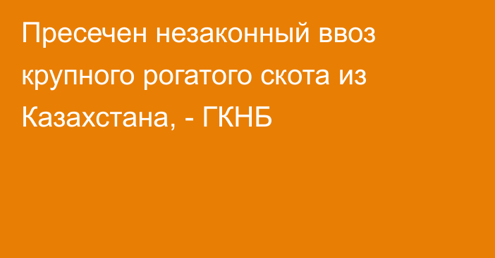 Пресечен незаконный ввоз крупного рогатого скота из Казахстана, - ГКНБ