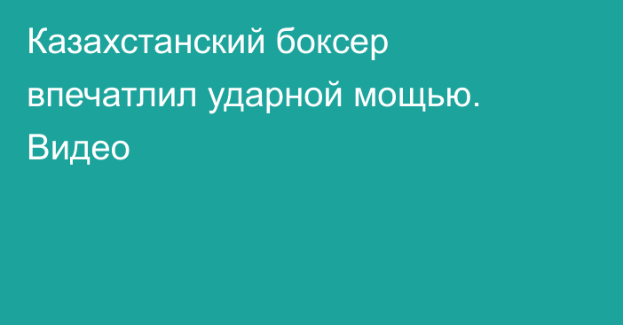 Казахстанский боксер впечатлил ударной мощью. Видео