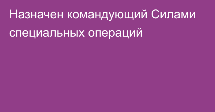 Назначен командующий Силами специальных операций