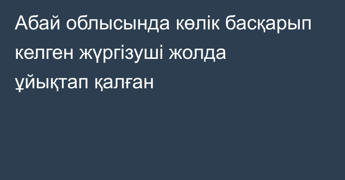 Абай облысында көлік басқарып келген жүргізуші жолда ұйықтап қалған