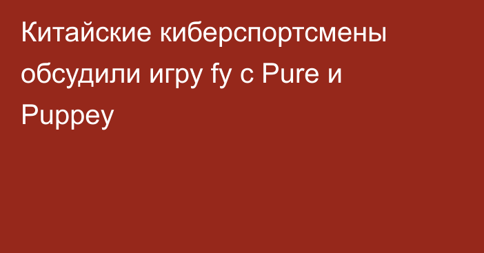 Китайские киберспортсмены обсудили игру fy с Pure и Puppey