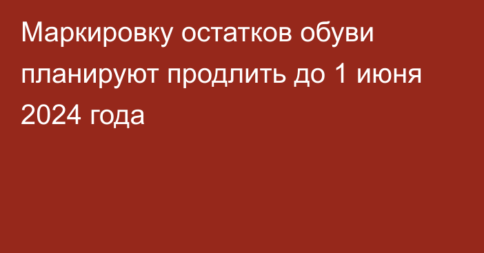 Маркировку остатков обуви планируют продлить до 1 июня 2024 года