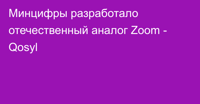 Минцифры разработало отечественный аналог Zoom - Qosyl