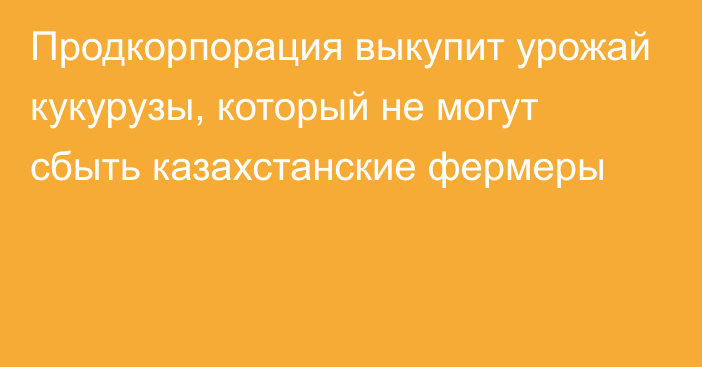 Продкорпорация выкупит урожай кукурузы, который не могут сбыть казахстанские фермеры