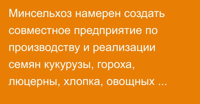 Минсельхоз намерен создать совместное предприятие по производству и реализации семян кукурузы, гороха, люцерны, хлопка, овощных культур