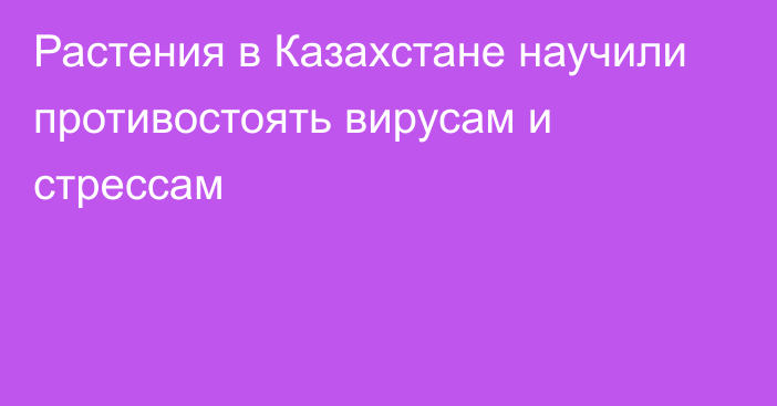 Растения в Казахстане научили противостоять вирусам и стрессам