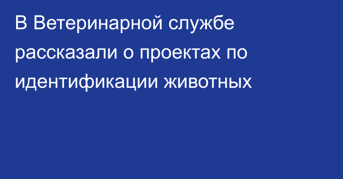 В Ветеринарной службе рассказали о проектах по идентификации животных