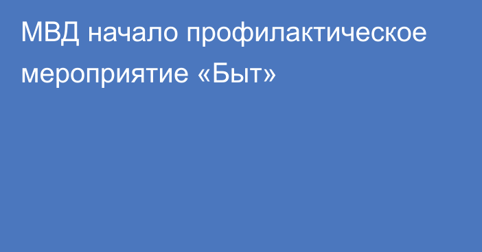 МВД начало профилактическое мероприятие «Быт»