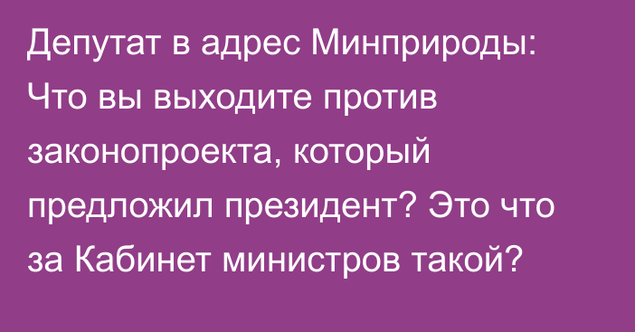 Депутат в адрес Минприроды: Что вы выходите против законопроекта, который предложил президент? Это что за Кабинет министров такой?