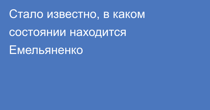 Стало известно, в каком состоянии находится Емельяненко