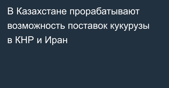 В Казахстане прорабатывают возможность поставок кукурузы в КНР и Иран