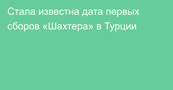 Стала известна дата первых сборов «Шахтера» в Турции