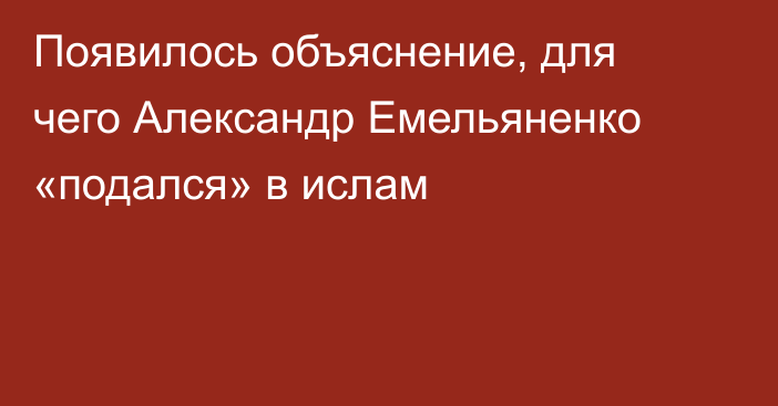 Появилось объяснение, для чего Александр Емельяненко «подался» в ислам