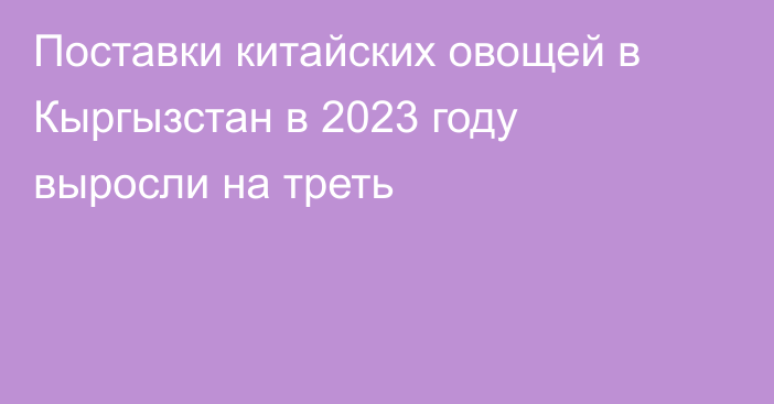 Поставки китайских овощей в Кыргызстан в 2023 году выросли на треть