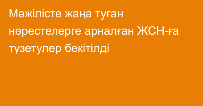 Мәжілісте жаңа туған нәрестелерге арналған ЖСН-ға түзетулер бекітілді