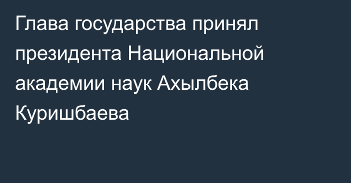 Глава государства принял президента Национальной академии наук Ахылбека Куришбаева