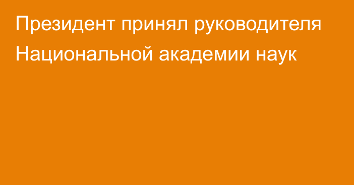 Президент принял руководителя Национальной академии наук