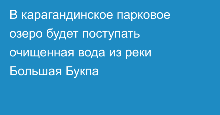 В карагандинское парковое озеро будет поступать очищенная вода из реки Большая Букпа