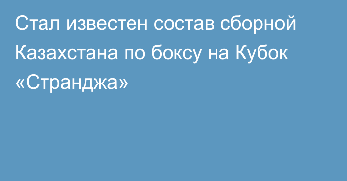 Стал известен состав сборной Казахстана по боксу на Кубок «Странджа»