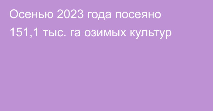 Осенью 2023 года посеяно 151,1 тыс. га озимых культур