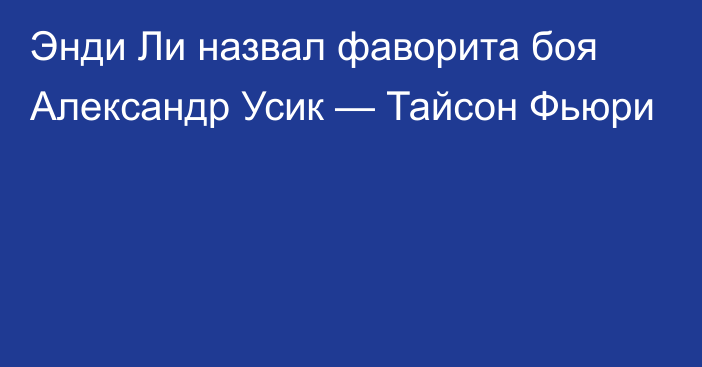 Энди Ли назвал фаворита боя Александр Усик — Тайсон Фьюри