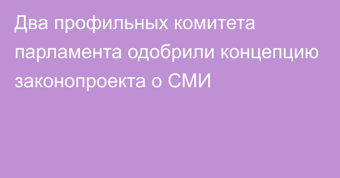 Два профильных комитета парламента одобрили концепцию законопроекта о СМИ