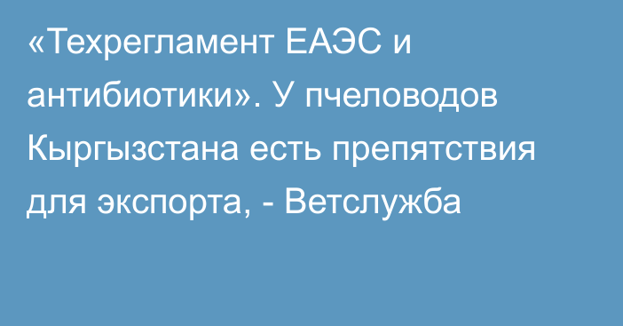 «Техрегламент ЕАЭС и антибиотики». У пчеловодов Кыргызстана есть препятствия для экспорта, - Ветслужба