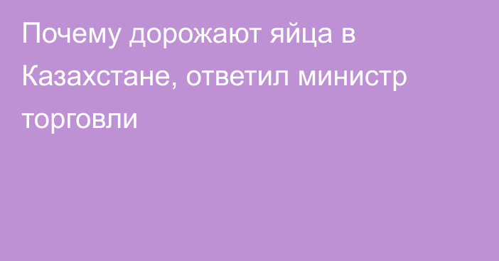 Почему дорожают яйца в Казахстане, ответил министр торговли