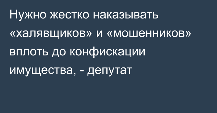 Нужно жестко наказывать «халявщиков» и «мошенников» вплоть до конфискации имущества, - депутат