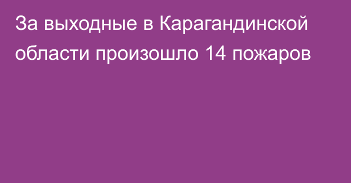 За выходные в Карагандинской области произошло 14 пожаров