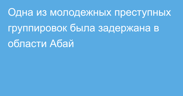 Одна из молодежных преступных группировок была задержана в области Абай