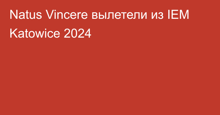 Natus Vincere вылетели из IEM Katowice 2024