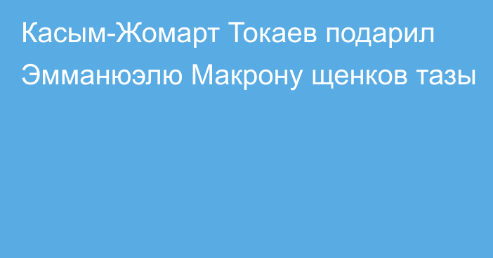 Касым-Жомарт Токаев подарил Эмманюэлю Макрону щенков тазы