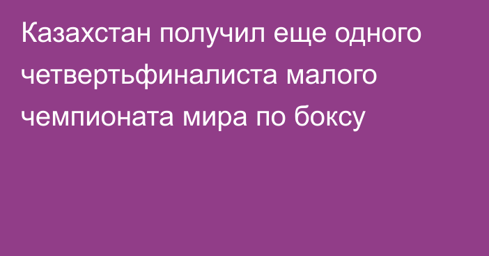 Казахстан получил еще одного четвертьфиналиста малого чемпионата мира по боксу