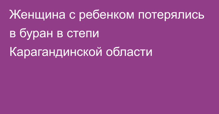 Женщина с ребенком потерялись в буран в степи Карагандинской области