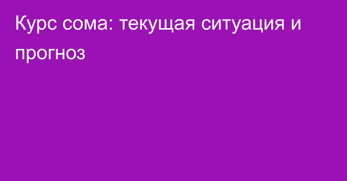 Курс сома: текущая ситуация и прогноз