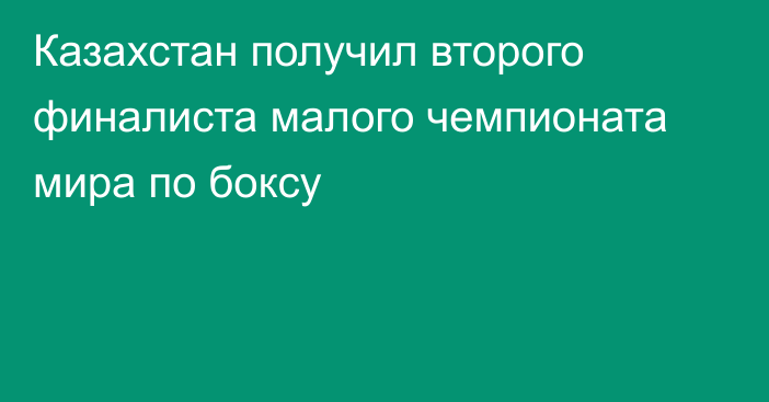 Казахстан получил второго финалиста малого чемпионата мира по боксу