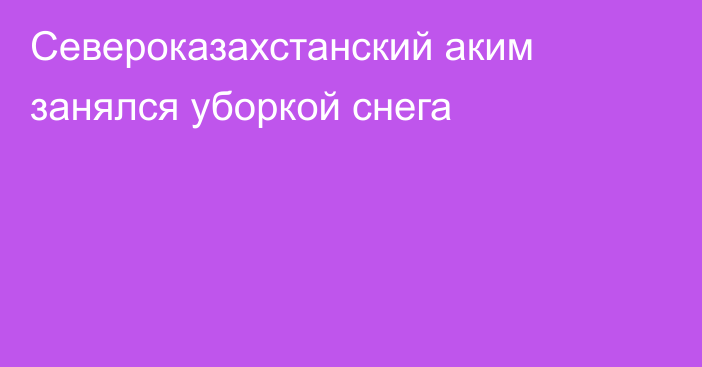 Североказахстанский аким занялся уборкой снега