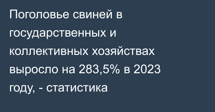 Поголовье свиней в государственных и коллективных хозяйствах выросло на 283,5% в 2023 году, - статистика