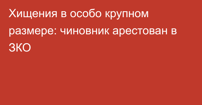 Хищения в особо крупном размере: чиновник арестован в ЗКО