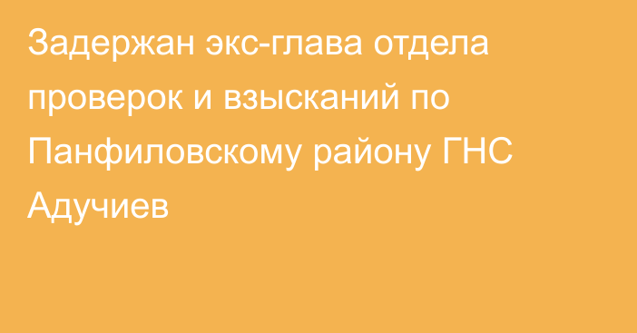 Задержан экс-глава отдела проверок и взысканий по Панфиловскому району ГНС Адучиев