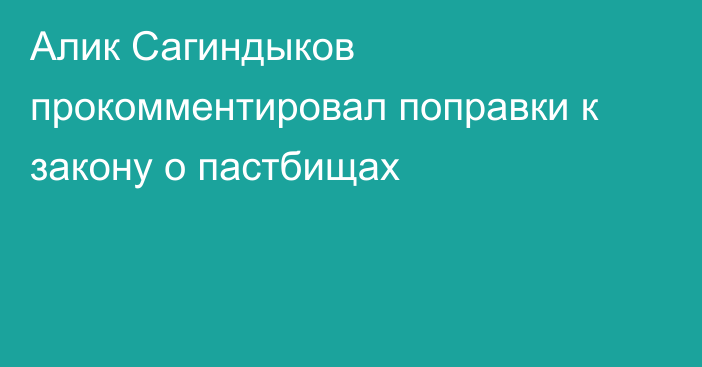 Алик Сагиндыков прокомментировал поправки к закону о пастбищах